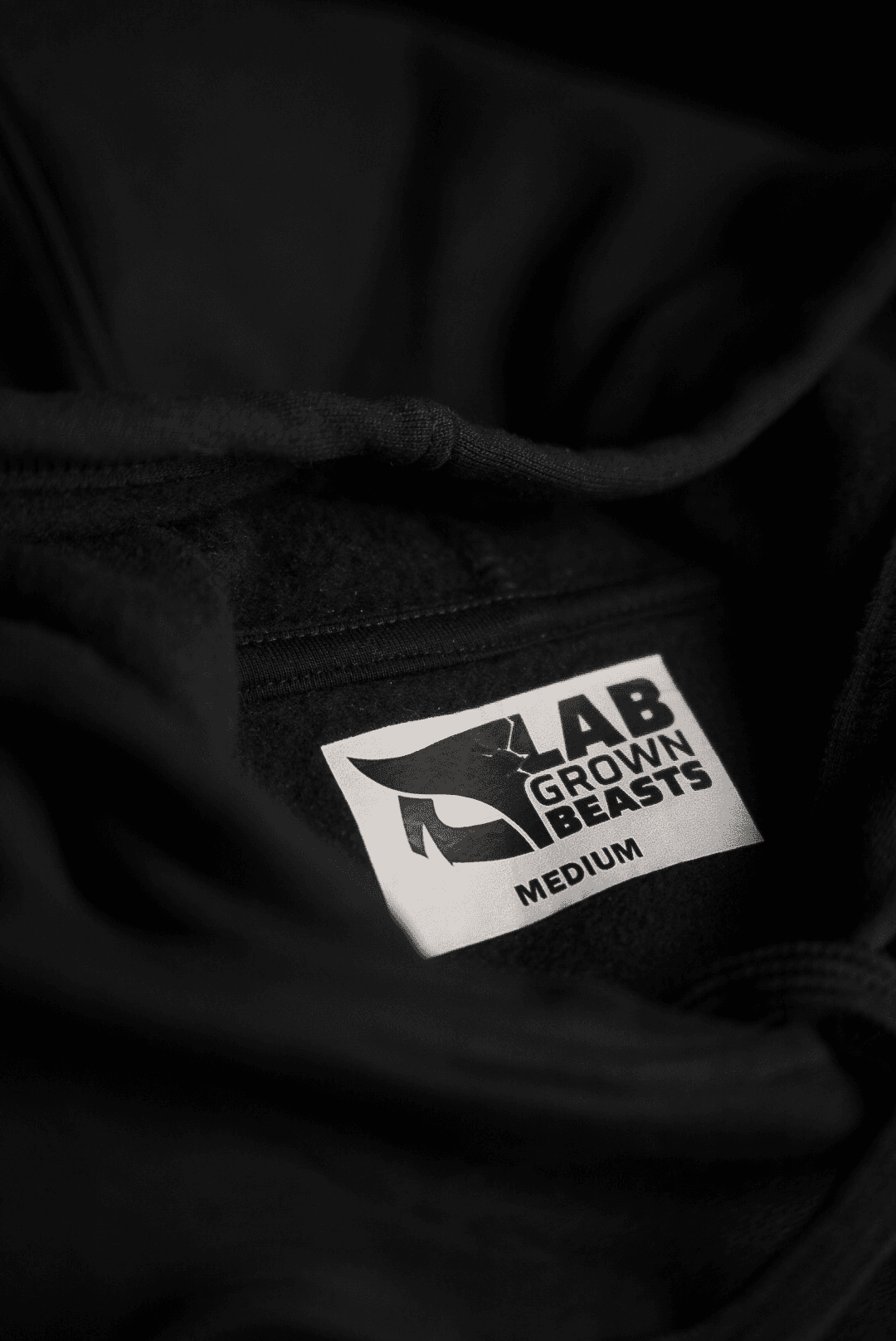 LGB Hoodie